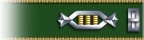 Captain
